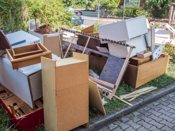 Best Professional Junk Removal  in Lake Andes, SD